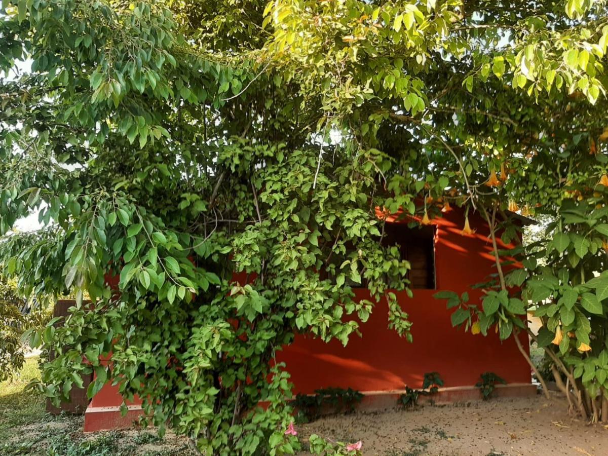 Casa Di Campagna Dal Pozzo Сорсо Екстер'єр фото